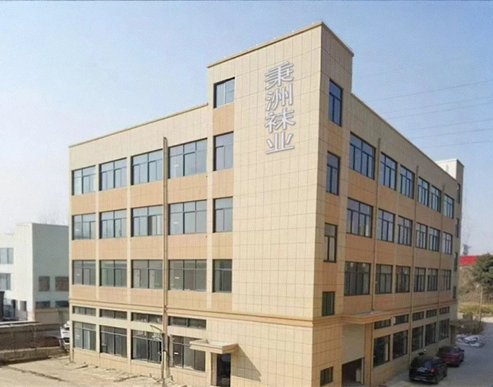 Zhuji  Saisili  Textilindustrie  Co.,  Ltd.